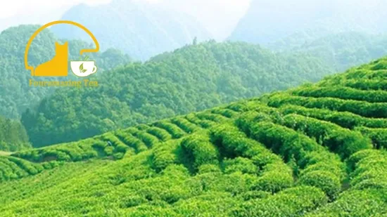 Dehydreated Taro Powder Spray Drying Taro Powder Manufacturer Bubble Tea